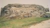 DSCN0206.jpg