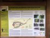 IMG_0529.jpeg