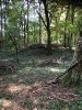 IMG_0536.jpeg