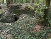 IMG_0537.jpeg