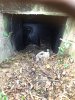 IMG_0538.jpeg