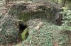 IMG_0539.jpeg