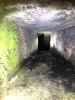 IMG_0540.jpeg