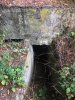 IMG_0541.jpeg