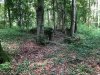 IMG_0543.jpeg