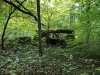 IMG_0545.jpeg