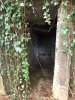 IMG_0550.jpeg