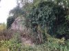 IMG_0554.jpeg
