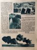 DMZ 11.1932.2.jpg