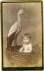 x Baby mit Schwan im Korb AT Schwegerle Lübeck Breite Str 31 nach 1879 1880er.jpg