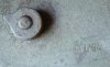 casque mod 16 cam tortue 017.jpg