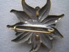 alpenkorps-edelweiÃŸ 006.jpg