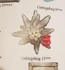 20170909_195726.jpg